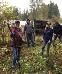 Unico employees take part in the company’s first company-wide day of community service. Named “All Hands Day,” the effort took place Oct. 5, 2018, across three states, six cities, and represented employees from 8 cities. In the above photograph, rain-drenched Unico employees at the Farmer Frog location in Woodinville.