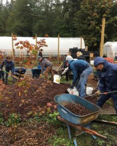 Unico employees take part in the company’s first company-wide day of community service. Named “All Hands Day,” the effort took place Oct. 5, 2018, across three states, six cities, and represented employees from 8 cities. In the above photograph, rain-drenched Unico employees at the Farmer Frog location in Woodinville.